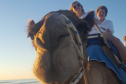 Broome Pre-sunset Camel Tour 30 Minutes - Tourism Gold Coast 5