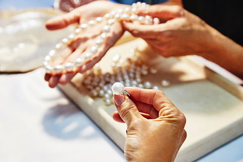 Cygnet Bay Explorer - Tourism Gold Coast 7