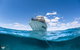Whale Shark Adventure Tour - thumb 10