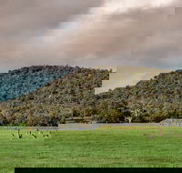 Baldwins Bluff Guided Hike - Tourism Gold Coast