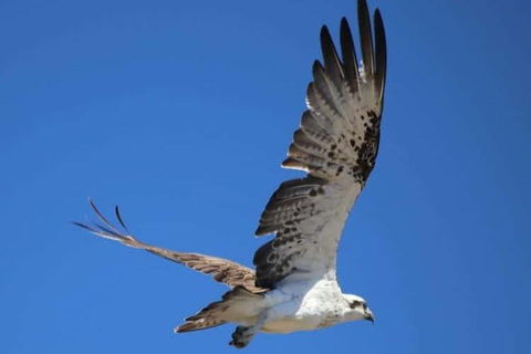 Romance Aircraft Flight + Scenic Tour + 3 Course Lunch + Beer Tasting + Hamper - Tourism Gold Coast 4