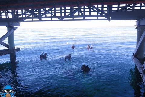 PADI Open Water Course - Tourism Gold Coast 3