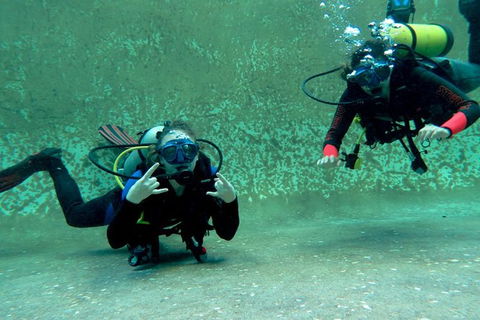 PADI Open Water Course - Tourism Gold Coast 4