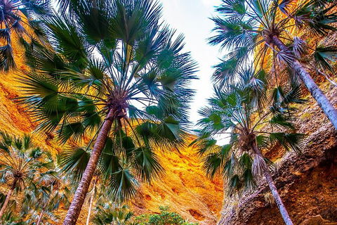 Bungles Day Trek Extended (with Echidna Chasm) - Tourism Gold Coast 1