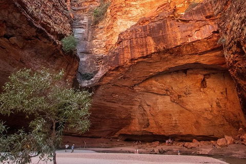 Bungles Day Trek Extended (with Echidna Chasm) - Tourism Gold Coast 0
