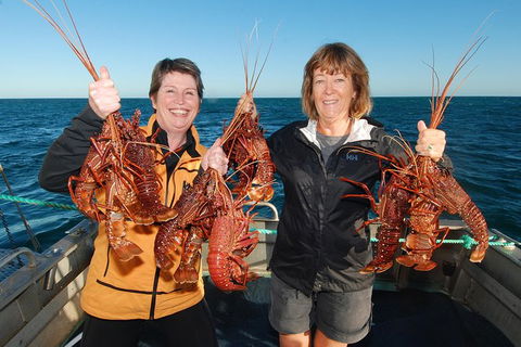 Abrolhos Islands 5 Day Tours - Tourism Gold Coast 1