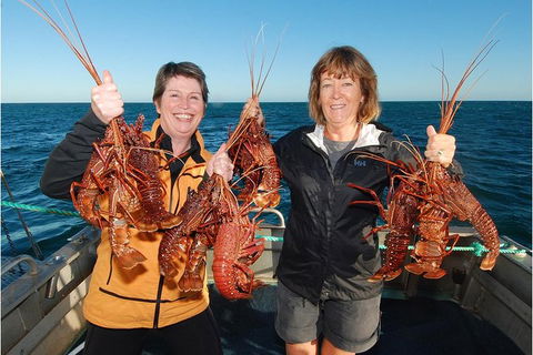 Abrolhos Islands 5 Day Tours - Tourism Gold Coast 0