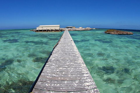 Abrolhos Islands 5 Day Tours - Tourism Gold Coast 4