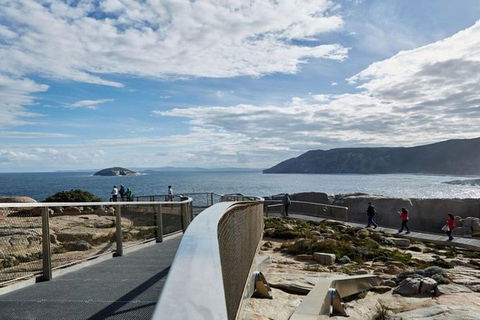 The Gap & Natural Wonders Guided Tour - Tourism Gold Coast 0