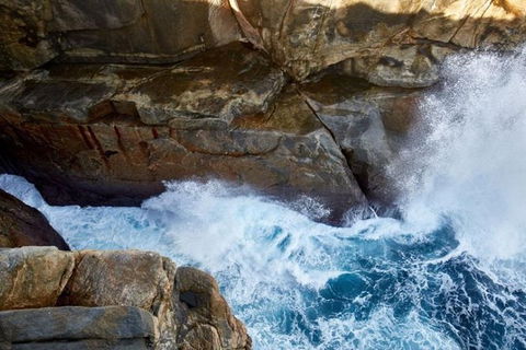 The Gap & Natural Wonders Guided Tour - Tourism Gold Coast 4