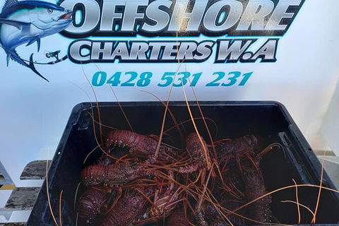 Lobster Fishing Tour At Geraldton - Tourism Gold Coast 0