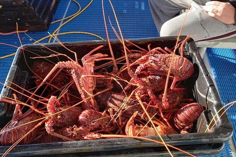 Lobster Fishing Tour At Geraldton - Tourism Gold Coast 6