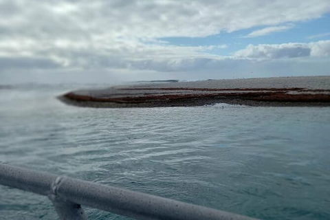 Abrolhos Islands Fishing Charter - Tourism Gold Coast 6