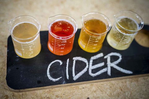 Bickley Valley Wine & Cider Tour - Premium Small Group Tour - Tourism Gold Coast 1