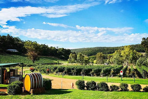 Bickley Valley Wine & Cider Tour - Premium Small Group Tour - Tourism Gold Coast 0