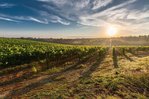 Perth To Margaret River Wine Tour - 2 Day Premium Boutique Wine Tour Experience - Tourism Gold Coast 0