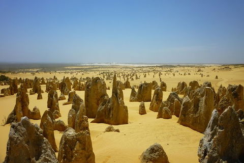Pinnacles Desert Private Tour - Tourism Gold Coast 5