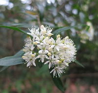 Booderee National Park - Tourism Gold Coast