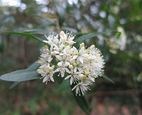 Booderee National Park - Tourism Gold Coast 0