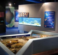 Marine and Freshwater Discovery Centre - Tourism Gold Coast