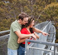 Valley of the Giants Tree Top Walk - Tourism Gold Coast
