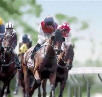 Colac Turf Club - Tourism Gold Coast