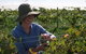 Kingsdale Wines - thumb 0