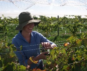 Kingsdale Wines - Tourism Gold Coast 0