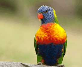 Booderee National Park - Tourism Gold Coast 1
