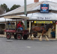 Bathurst Farm Experience - Gold Coast