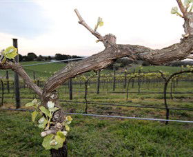 Nalbra Estate Wines - Tourism Gold Coast 0