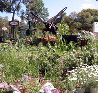 Zanthorrea Nursery - Gold Coast