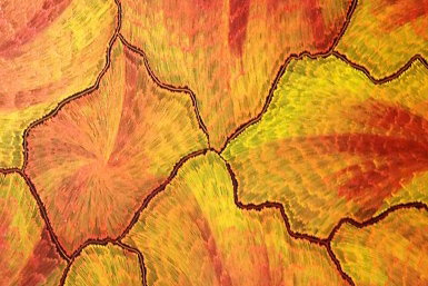 Red Desert Dreamings - Tourism Gold Coast 0
