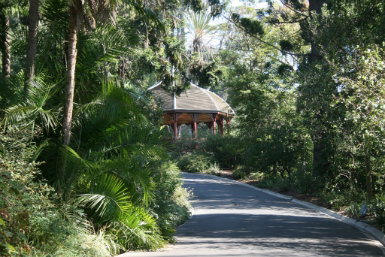 Royal Botanic Gardens Victoria - Tourism Gold Coast 0