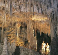 Mammoth Cave - Gold Coast