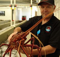 Lobster Shack - Tourism Gold Coast