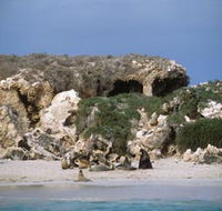 Jurien Bay Marine Park - Tourism Gold Coast