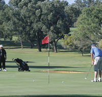 Spalding Park - Tourism Gold Coast