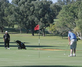 Spalding Park - Tourism Gold Coast 0