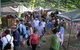 Eumundi Markets - thumb 0