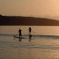 Jervis Bay Stand Up Paddle - Tourism Gold Coast 2