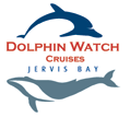 Dolphin Watch Cruises - Tourism Gold Coast 2