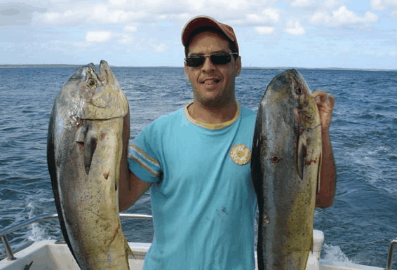 Jervis Bay Fishing and Charters - Tourism Gold Coast