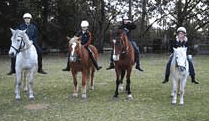 Valhalla Horse Riding - Tourism Gold Coast 1