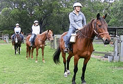 Valhalla Horse Riding - Tourism Gold Coast 2