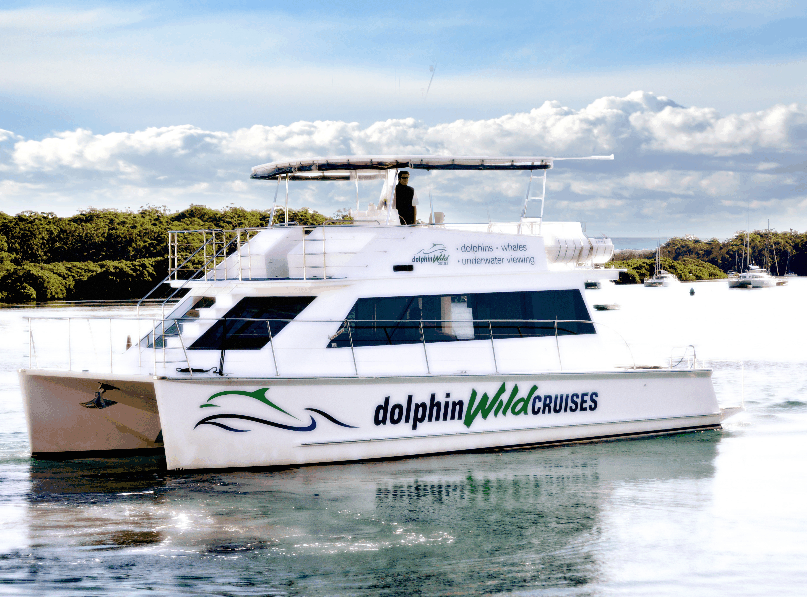 Dolphin Wild Cruises - Tourism Gold Coast 2
