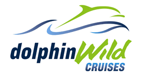 Dolphin Wild Cruises - Tourism Gold Coast 4