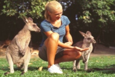 Jungle Tours And Trekking - Tourism Gold Coast 1