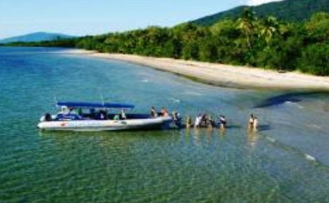 Cape Tribulation QLD Tourism Gold Coast