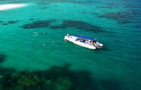 Ocean Safari - Tourism Gold Coast 1